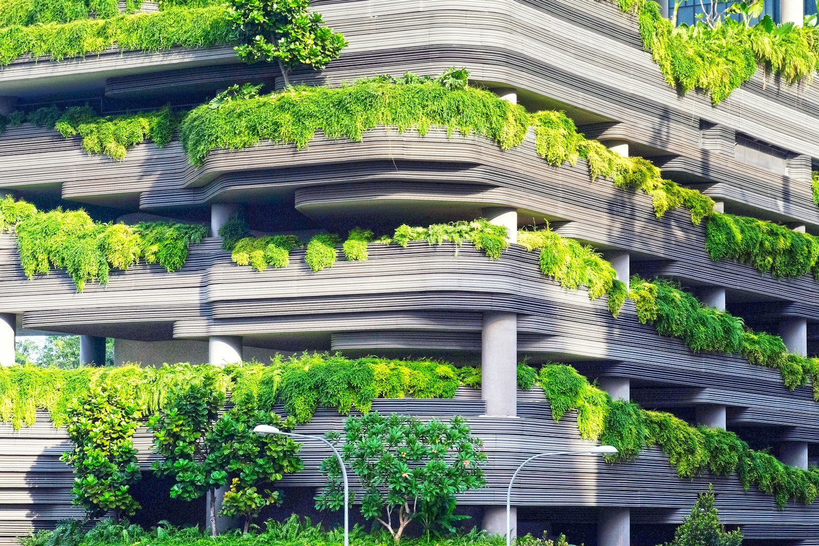 Les nouvelles tendances de l’architecture durable en 2024